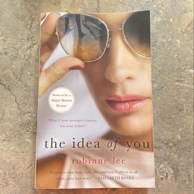 The Idea of You