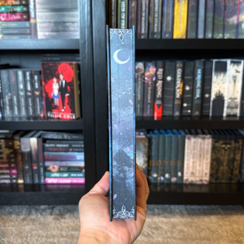 Rise of the Cinder Fae Moonlight Book Box edition