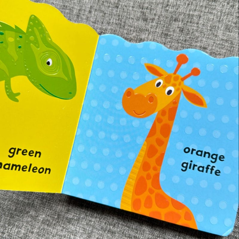 Colors Stripes and Spots (board book)