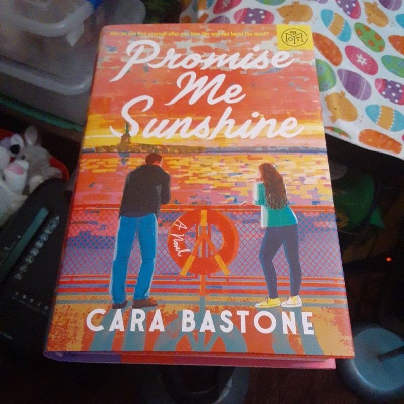 Promise Me Sunshine 