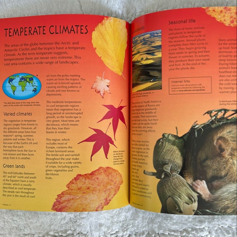 The Usborne Geography Encyclopedia 