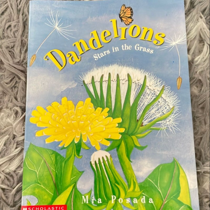 Dandelions 