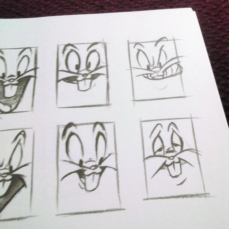 Draw the Looney Tunes by Dan Romanelli, Hardcover | Pangobooks