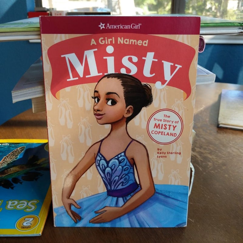 A Girl Named Misty