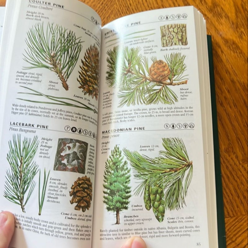 The Pocket Guide to Trees