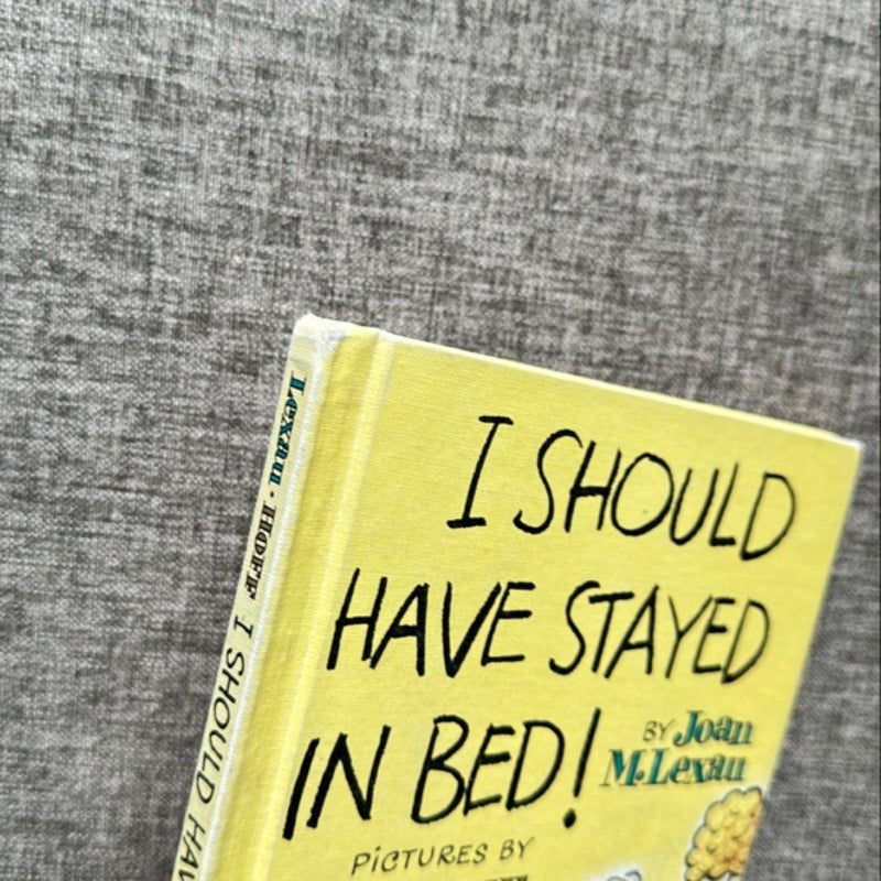 I Should Have Stayed in Bed!