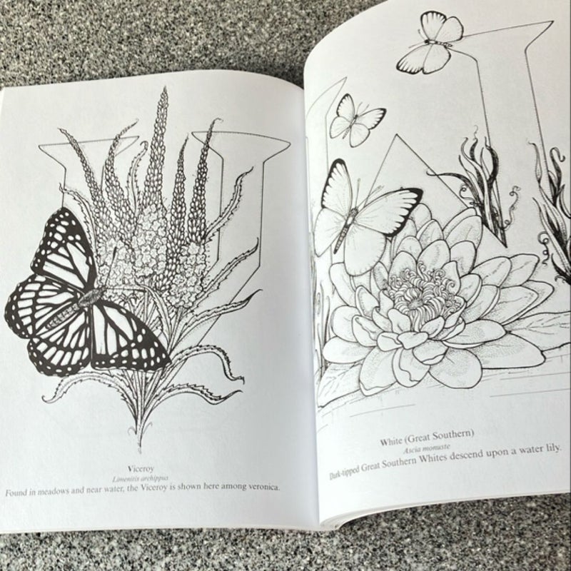 3-D Coloring Book - Butterfly Designs