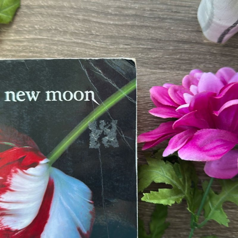 New Moon