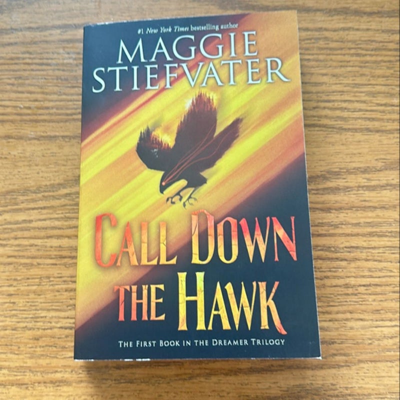 Call down the Hawk (the Dreamer Trilogy, Book 1)