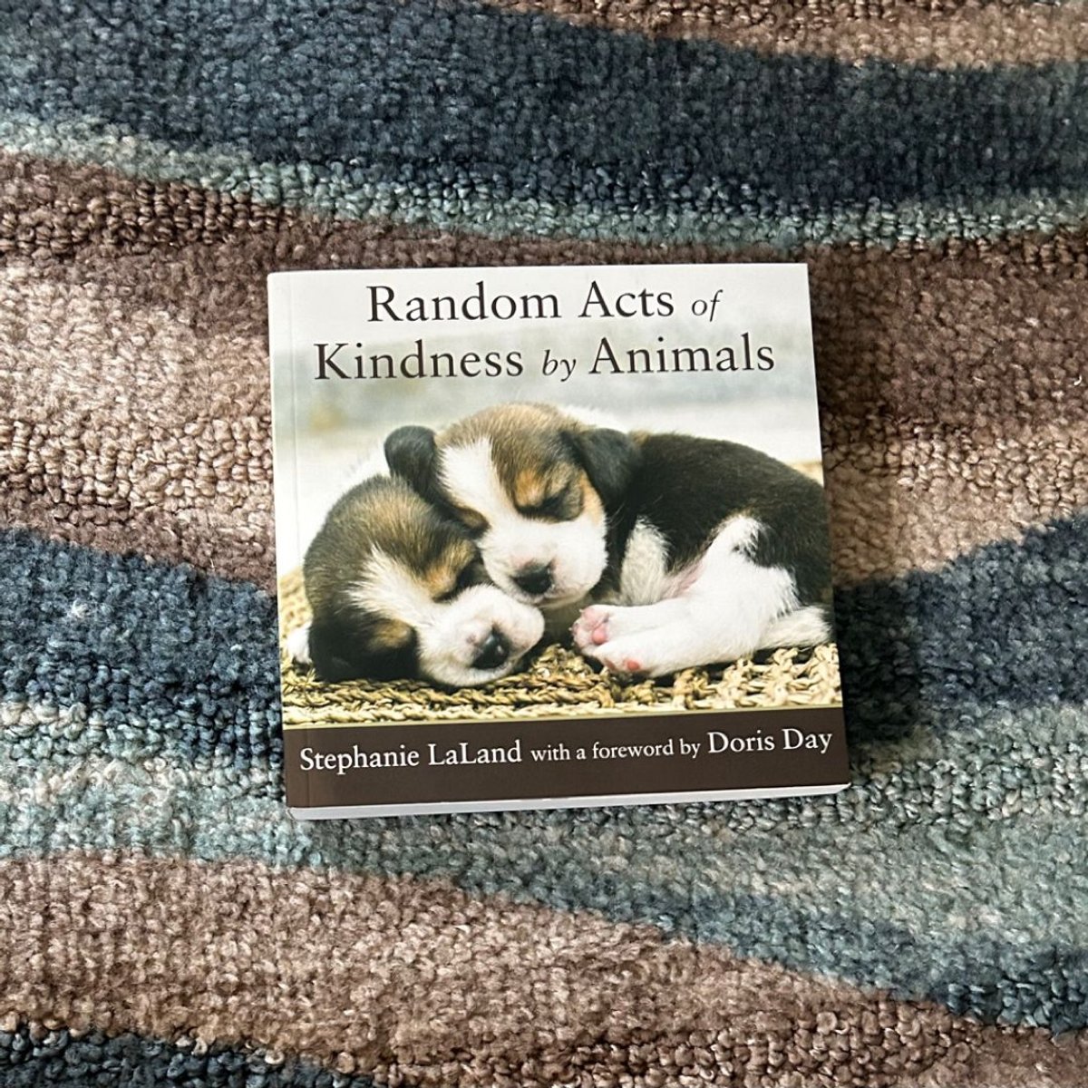 Random Acts of Kindness by Animals by Stephanie Laland, Doris Day
