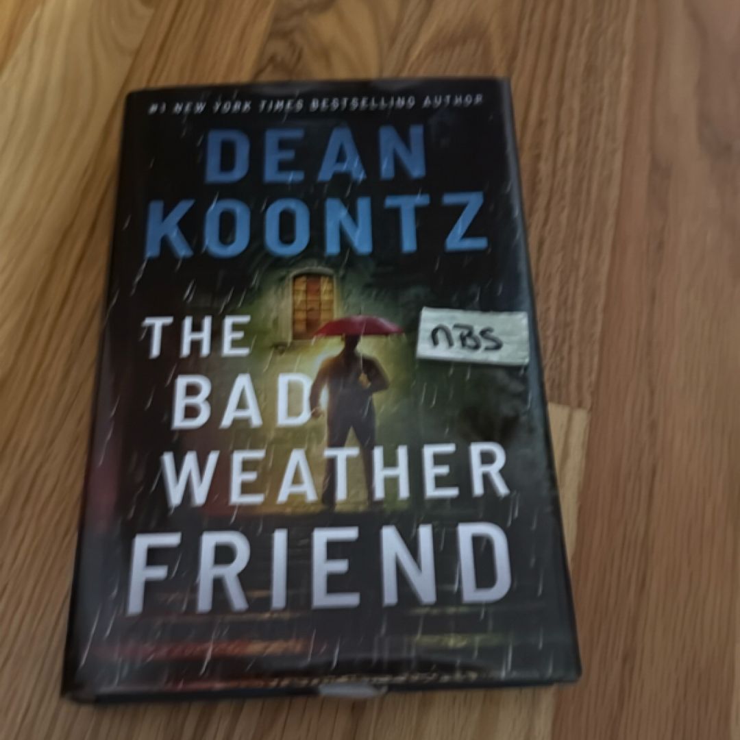 The Bad Weather Friend