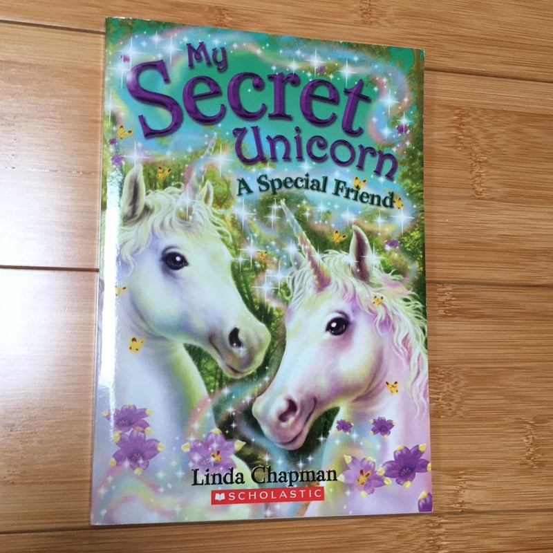 My Secret Unicorn: A Special Friend