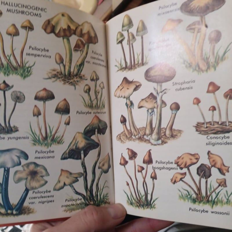 Hallucinogenic Plants by Richard Evans Schultes, Hardcover | Pangobooks