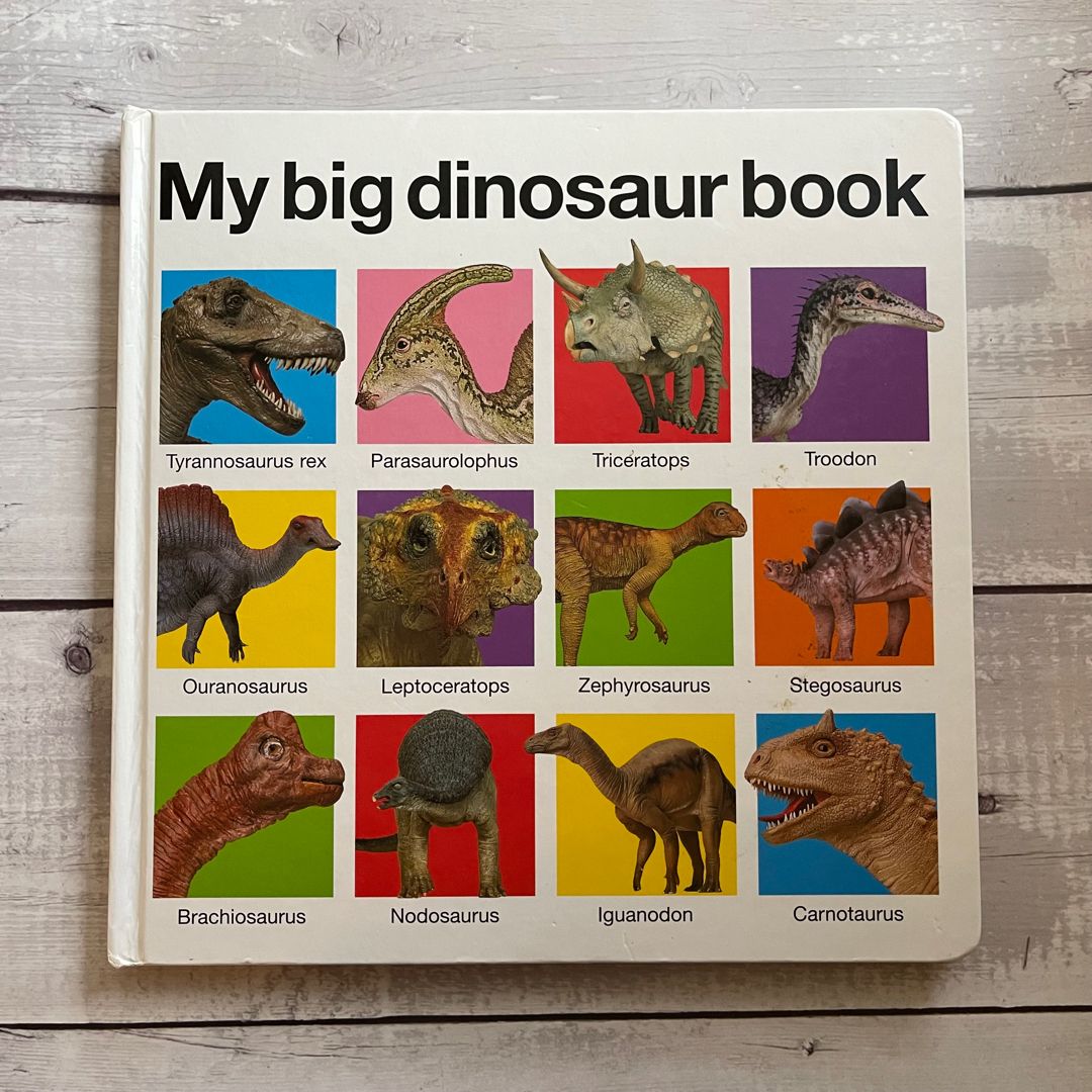 My Big Dinosaur Book