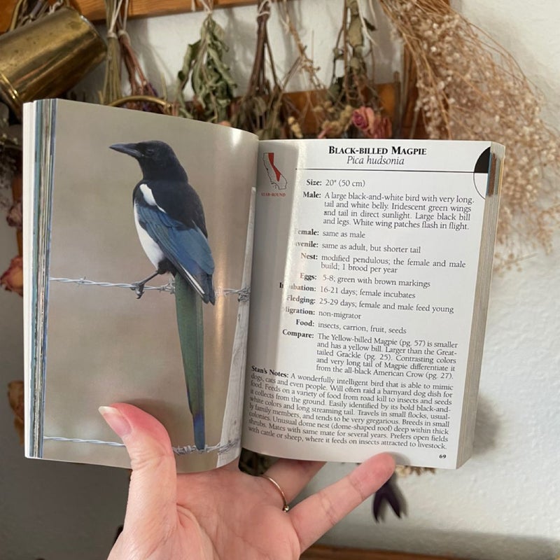 Birds of California Field Guide