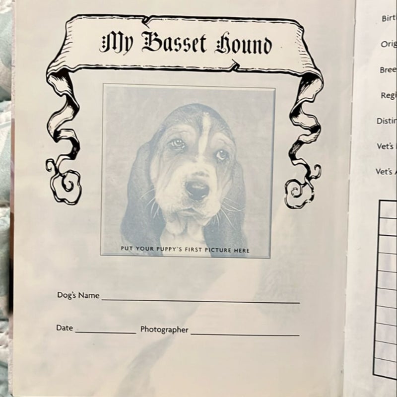 Basset Hound