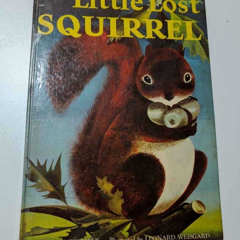 The Little Lost Squirrel