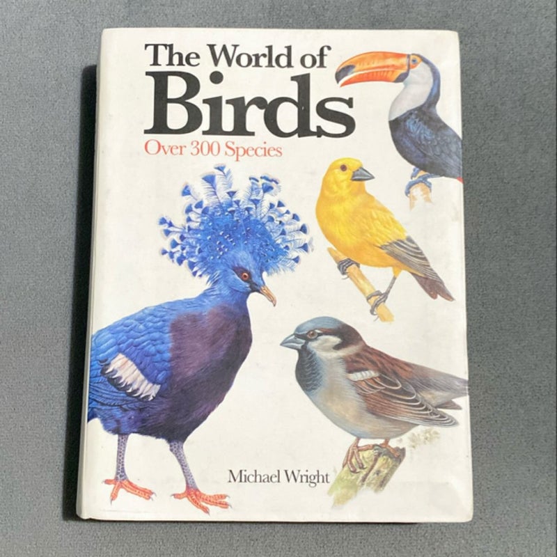 The World Of a birds