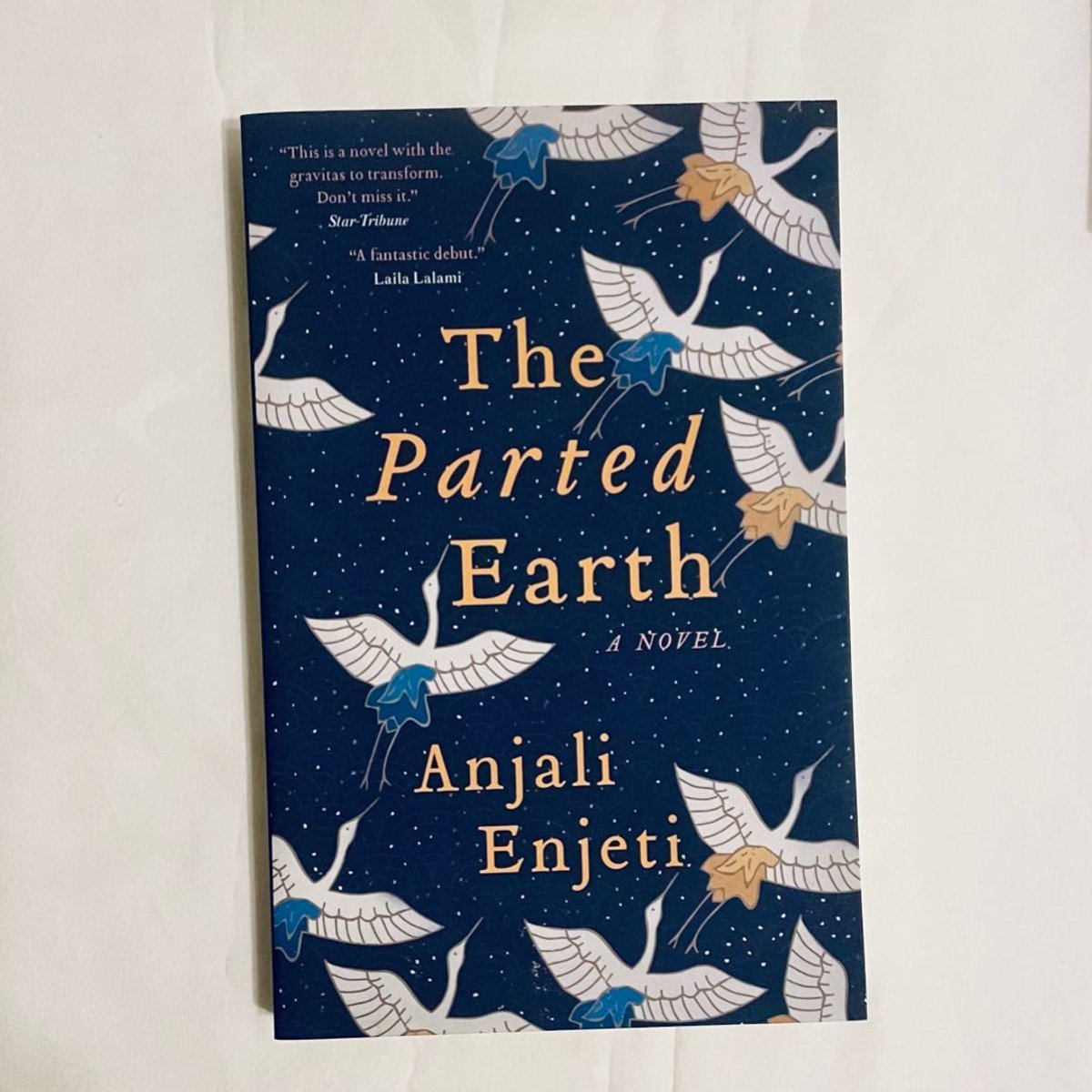 The Parted Earth by Anjali Enjeti