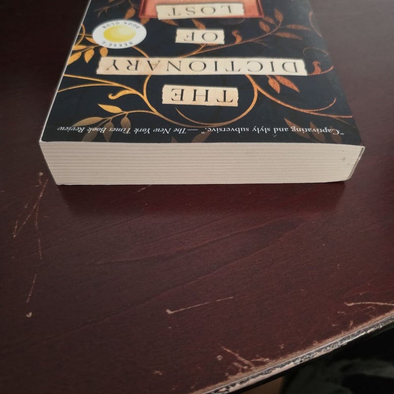 The Dictionary of Lost Words