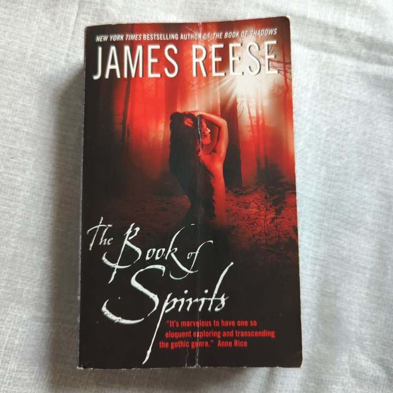 The Book of Spirits