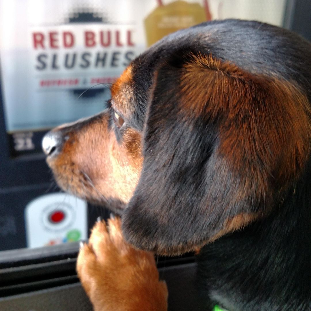 Nini's Reads