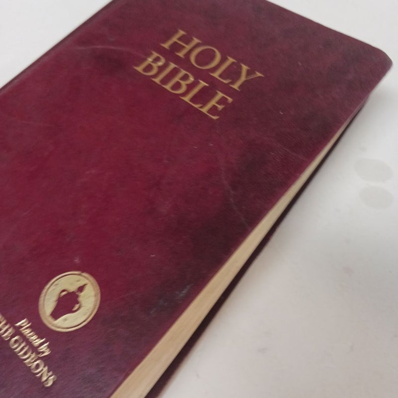 Holy Bible 