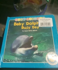 Baby dolphin's busy day