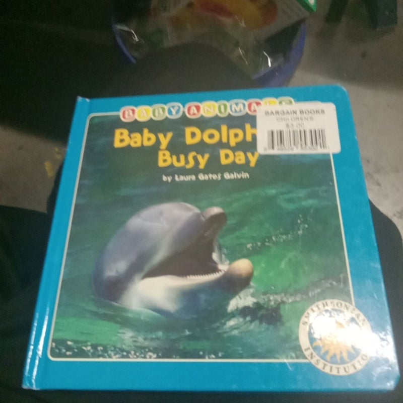 Baby dolphin's busy day