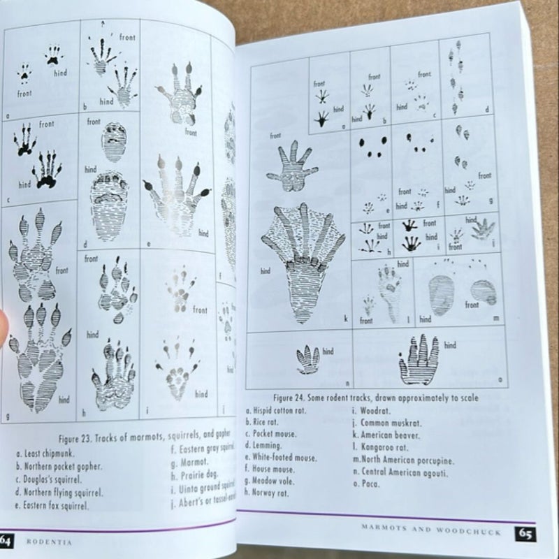 Peterson Field Guide to Animal Tracks