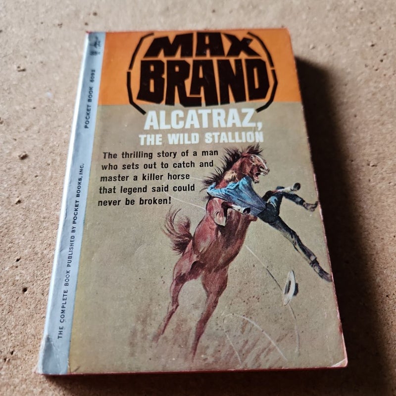 Alcatraz, The Wild Stallion