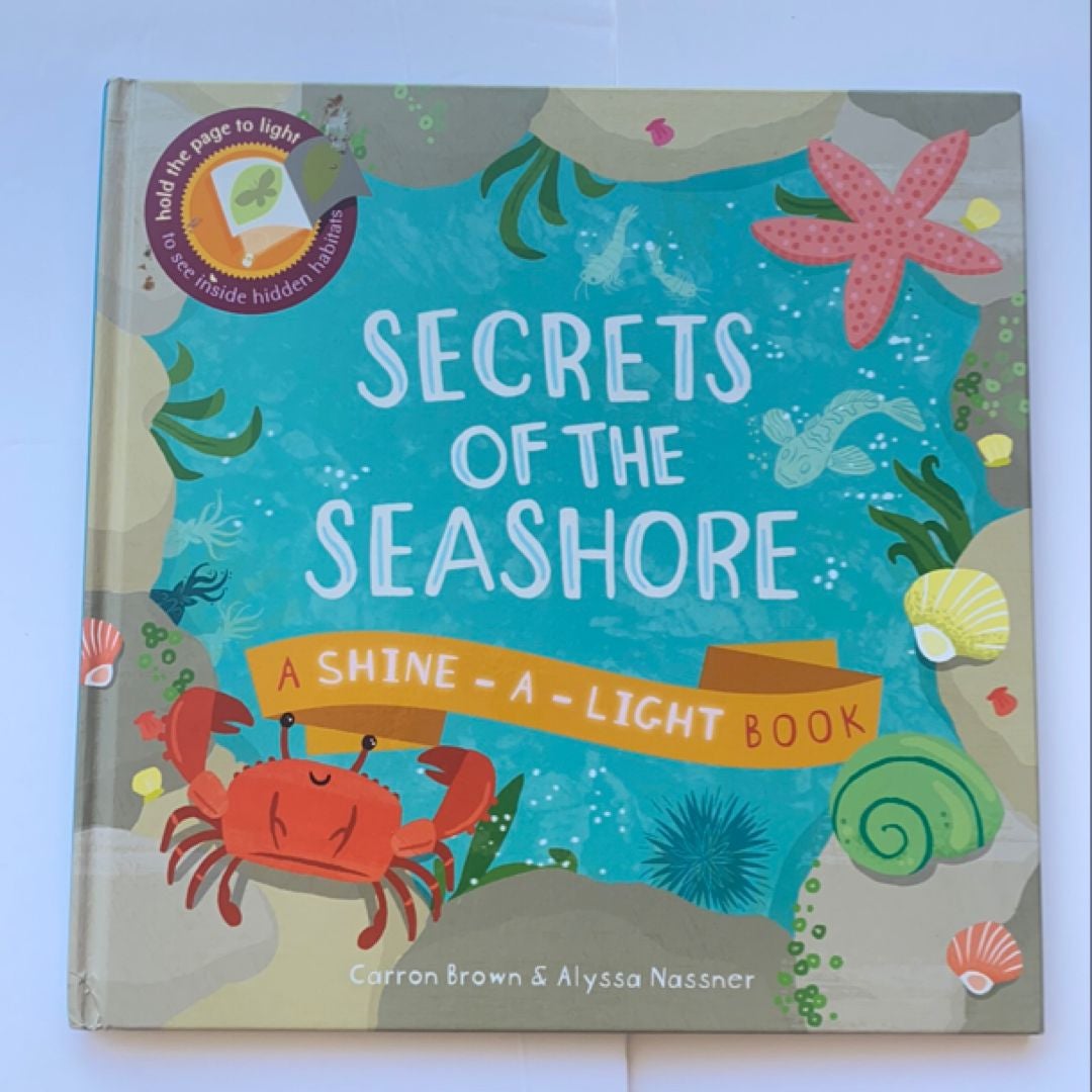 Secrets of the Seashore