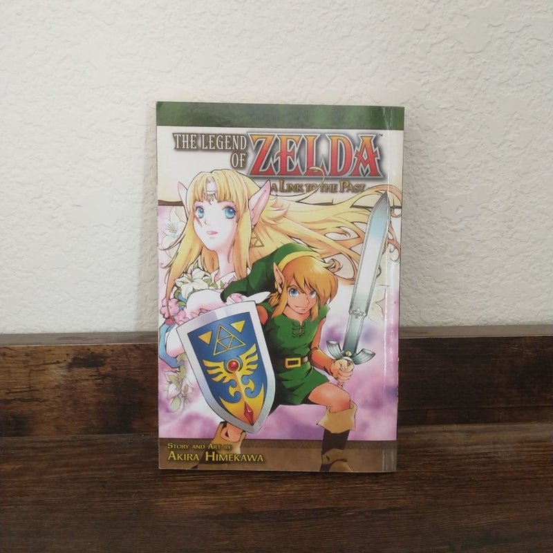 The Legend of Zelda, Vol. 9