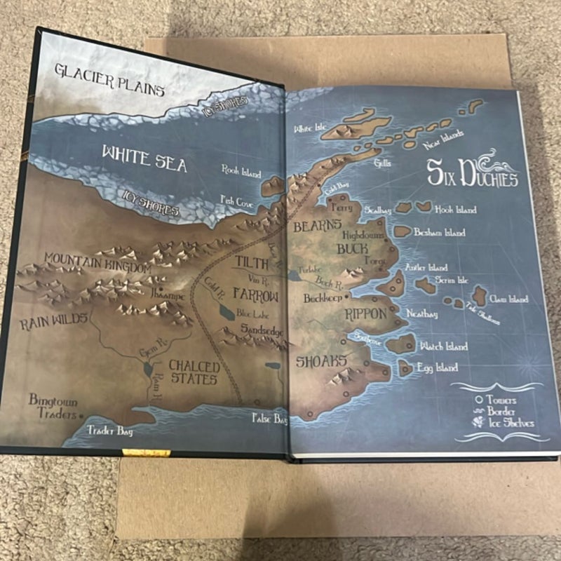 Assassin's Apprentice (the Illustrated Edition)