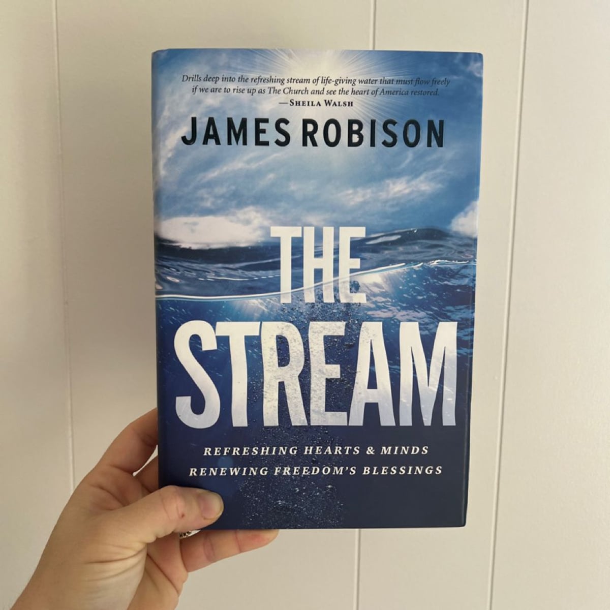 The Stream by James Robison