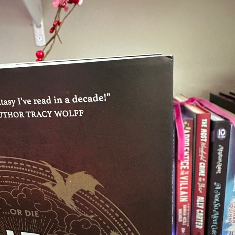 Fourth Wing Holiday Edition Book