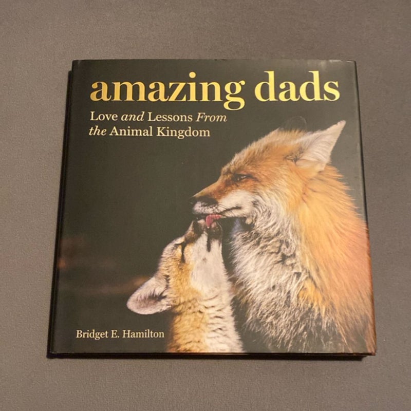 Amazing Dads