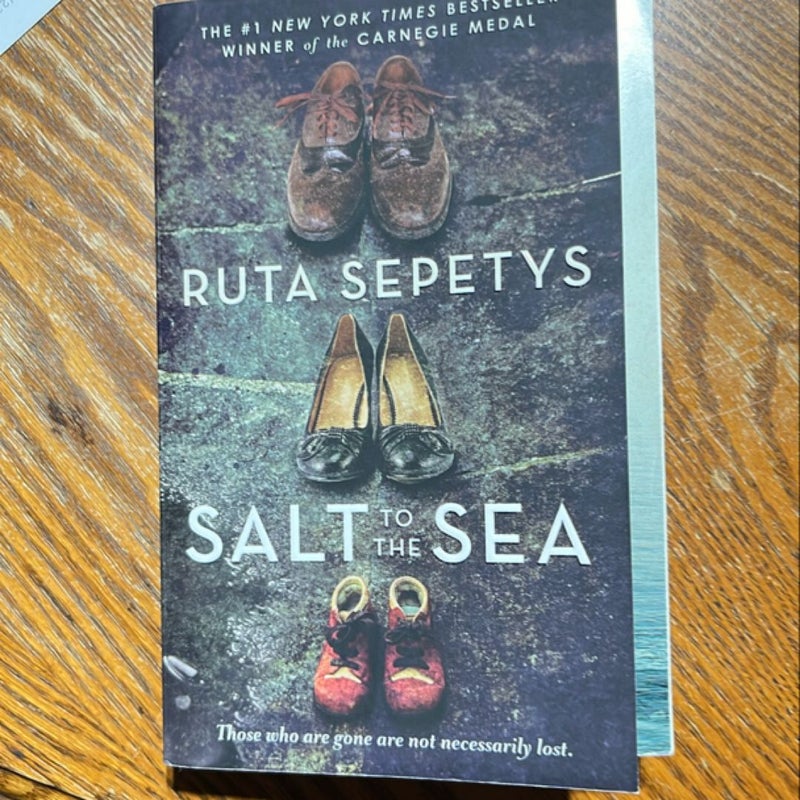 Salt to the Sea