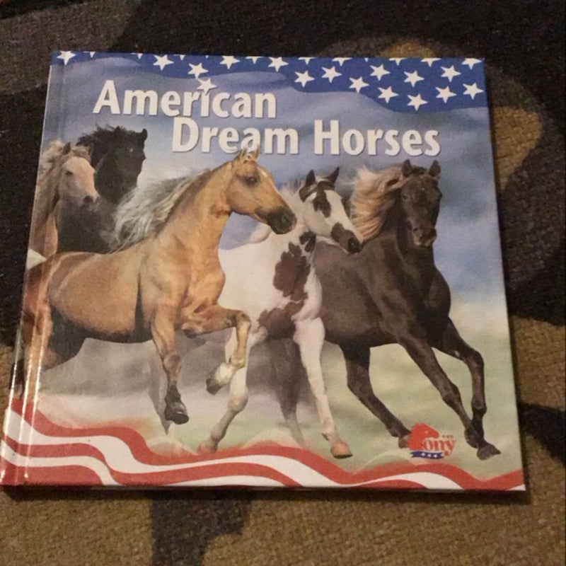 American Dream Horses