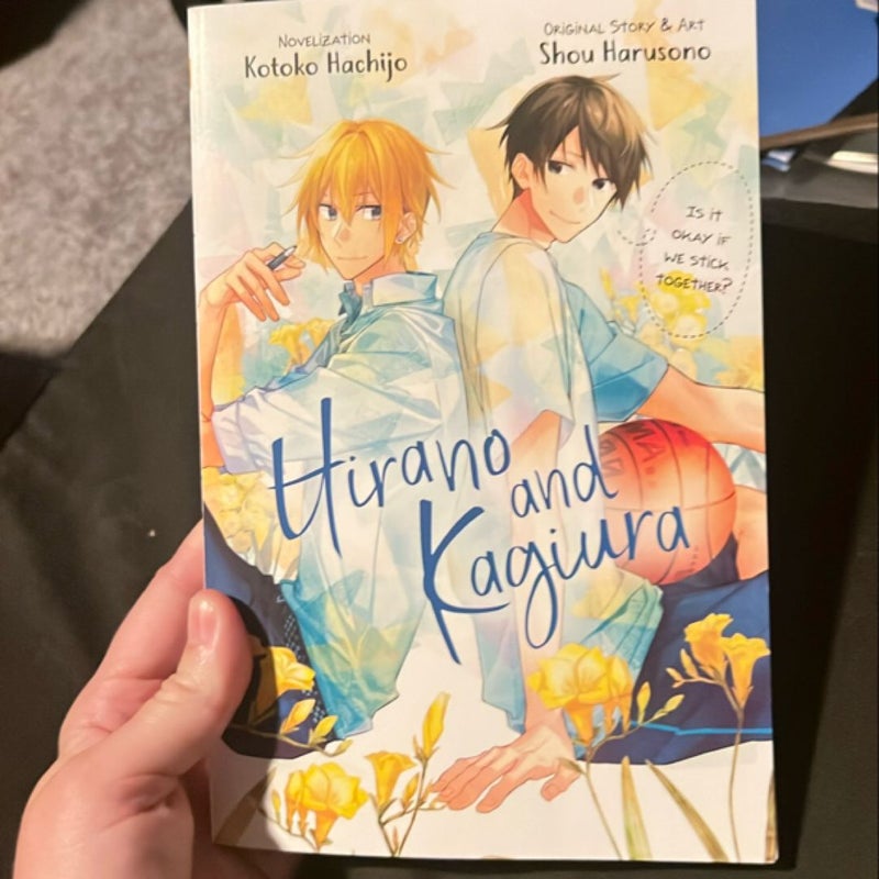 Hirano and Kagiura (novel)