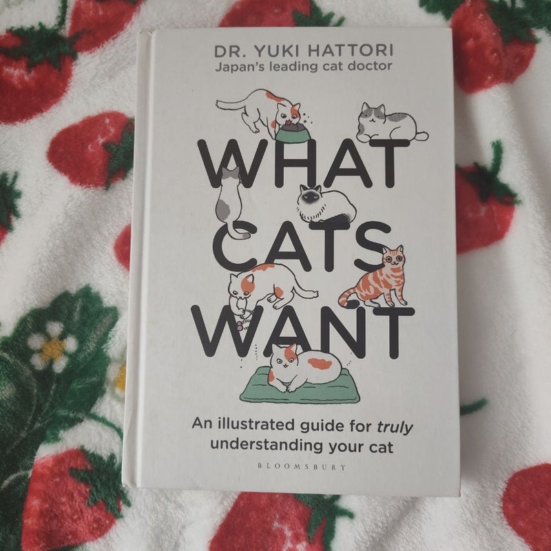 What Cats Want