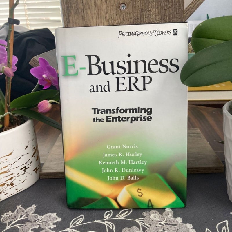 E-Business and ERP