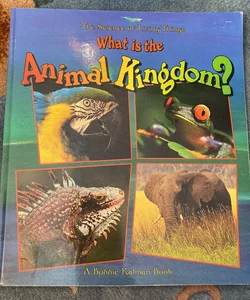 What Is the Animal Kingdom?