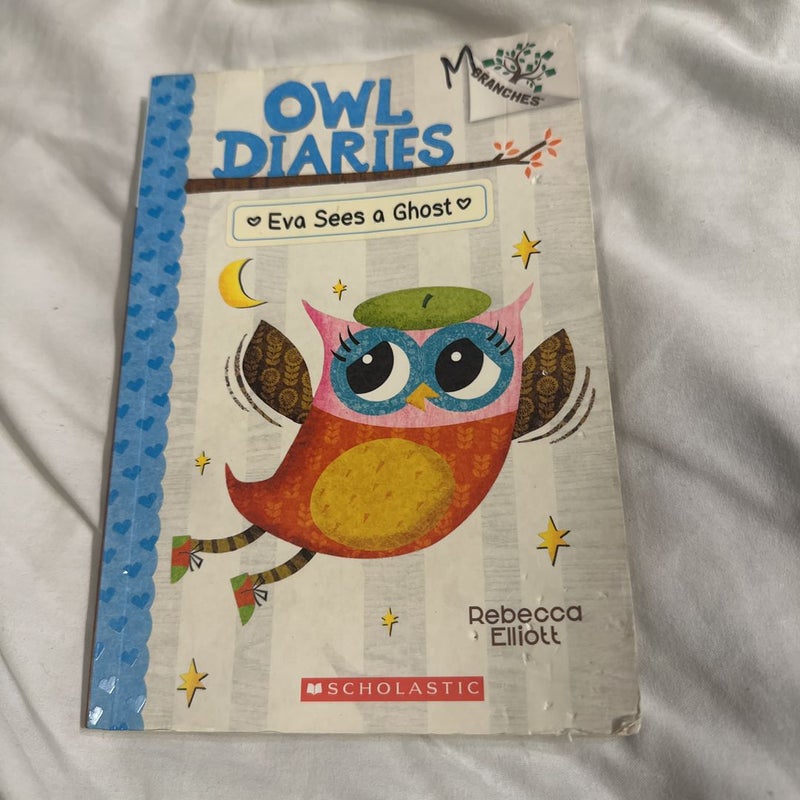 Owl Diaries. Eva Sees a Ghost