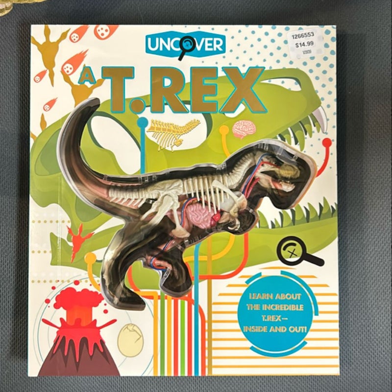 Uncover a T. Rex