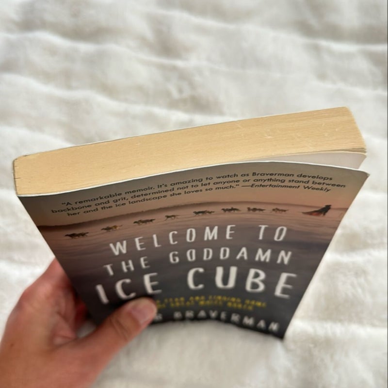 Welcome to the Goddamn Ice Cube