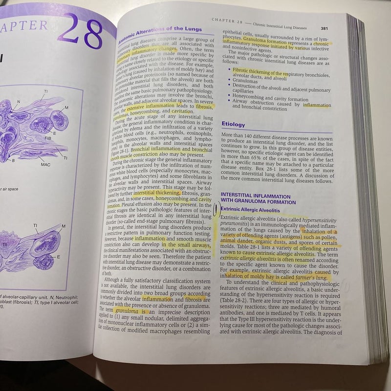 Clinical Manifestations and Assessment of Respiratory Disease