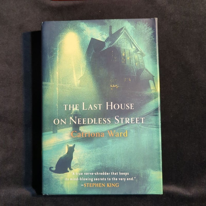 The Last House on Needless Street