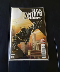 Black Panther: The Sound And Fury #1