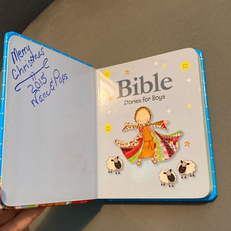 Bible Stories for Boys
